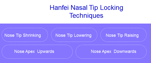 hanfei rhinoplasty techniques